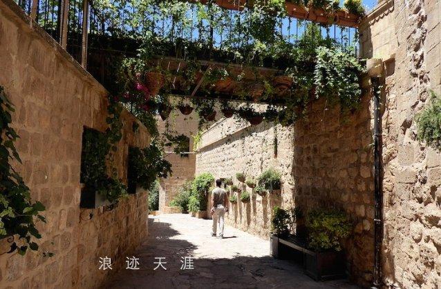 这种什么虫子，家里到处是游戏画面